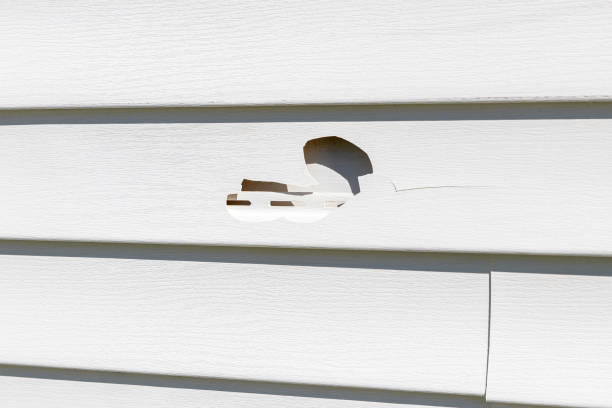 Best Siding Removal and Disposal  in Pine Mountain Lake, CA